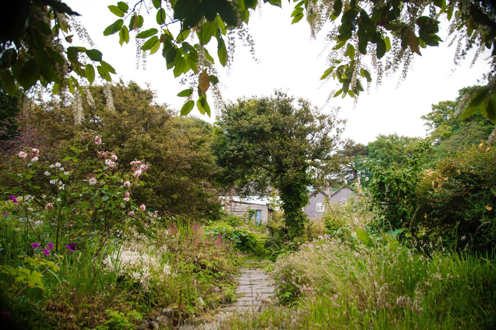 Trigonos - Quiet, Peaceful, Vegetarian B&B And Retreat Centre Nantlle Extérieur photo